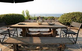 Pines & Sea Studio